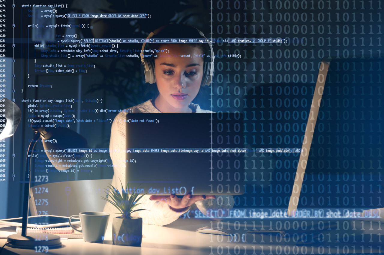 Software Developer (.NET)